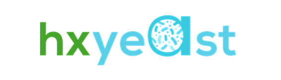 site logo